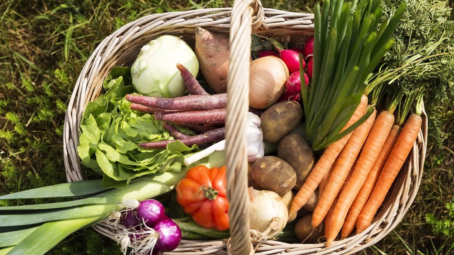 Co jeść na diecie dr Dąbrowskiej