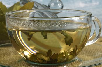 Nie tylko do bigosu czy rosołu. Z tych liści przygotujesz herbatę, która pomoże przy stłuszczonej wątrobie