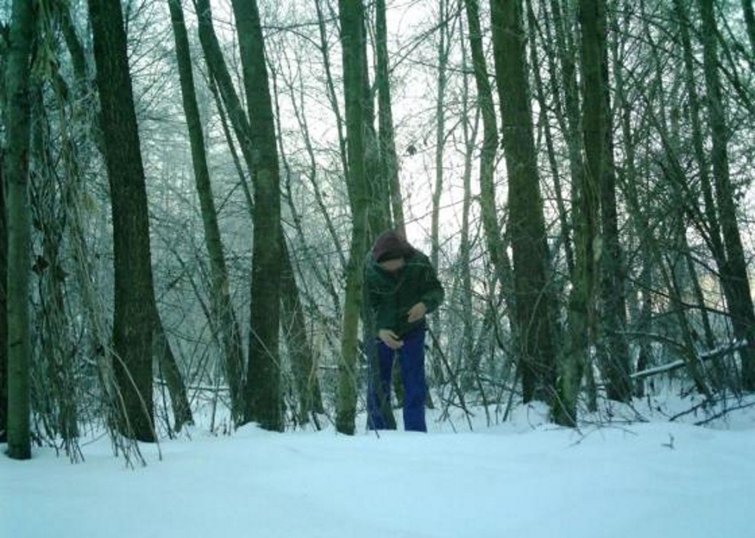 Mężczyzna nakryty w lesie. Wszystko nagrała fotopułapka