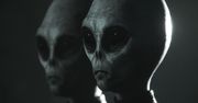 "Z Archiwum X" może się schować. Oto Greyhill Incident