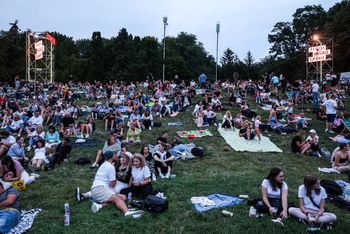 "Męskie Granie" w Poznaniu. Zmiany w organizacji ruchu