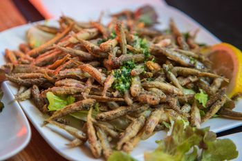 Są malutkie, ale bardzo zdrowe. Żyją tylko w najczystszych wodach