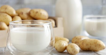 Alternatywa dla zwykłego mleka. Wiele osób dolewa do kawy i bardzo sobie chwali
