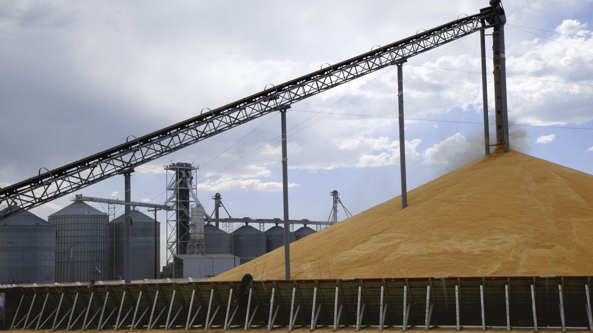 Ukraina miała stracić ponad 140 mln dol. na decyzji polskiego rządu