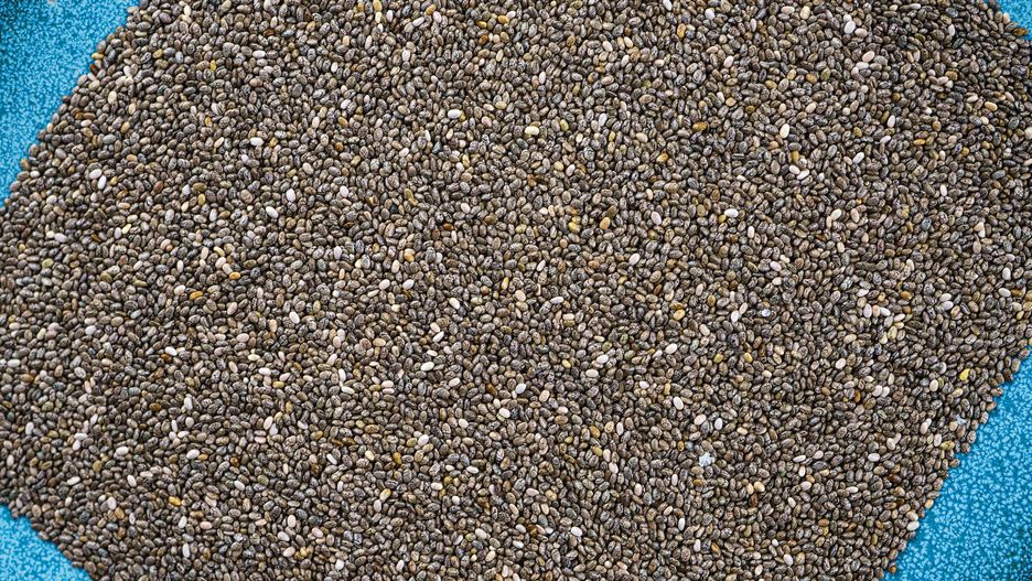 CANADA - 2024/10/07: In this photo illustration, raw chia seeds on a blue plate. (Photo Illustration by Roberto Machado Noa/LightRocket via Getty Images)
