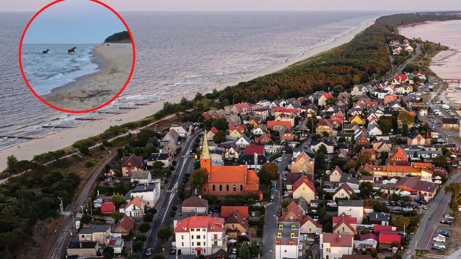 Jastarnia. Łosie nad plaży nad Bałtykiem