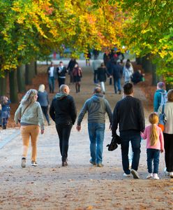 500 plus dla Ukraińców. GUS opublikował oficjalne dane