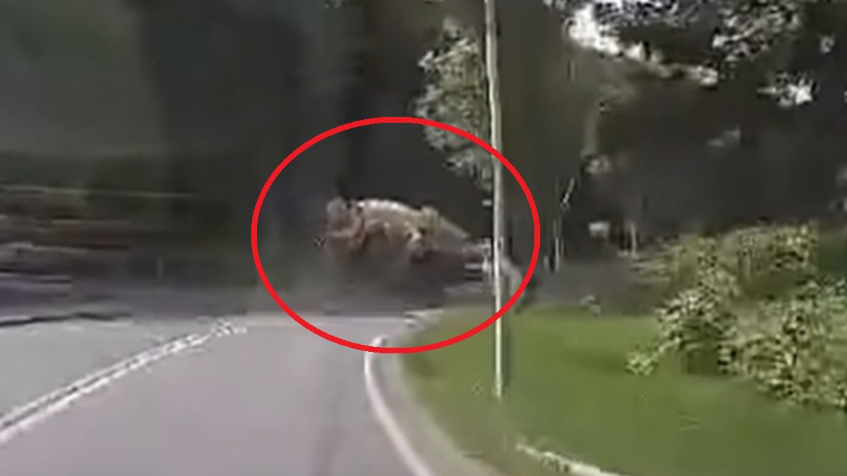Betoniarka przygniotła dwie osoby.