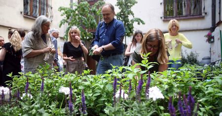 Grządki w centrum miasta. Znaleźli sposób na drogie warzywa