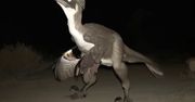 Sztuczna inteligencja przywraca dinozaury. Są jak żywe