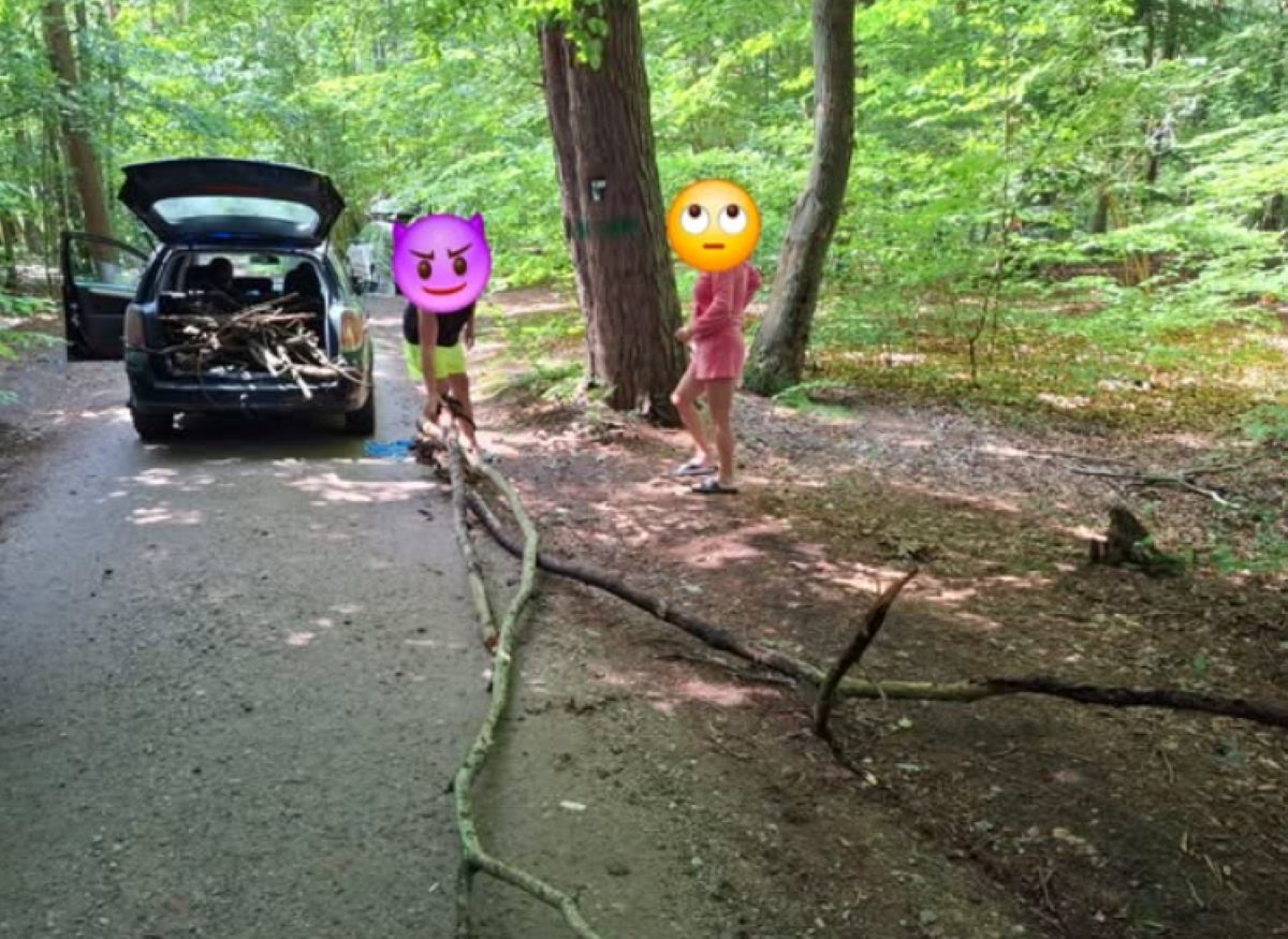 Mieli ich pełno w bagażniku. Leśnicy pokazali zdjęcia