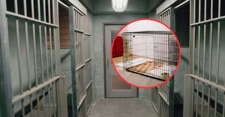 Znęcała się nad swoim dzieckiem. Zamknęła go w budzie i skazała na śmierć głodową