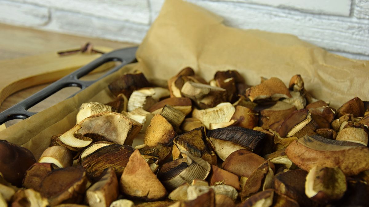 Jak długo można korzystać z suszonych grzybów? 