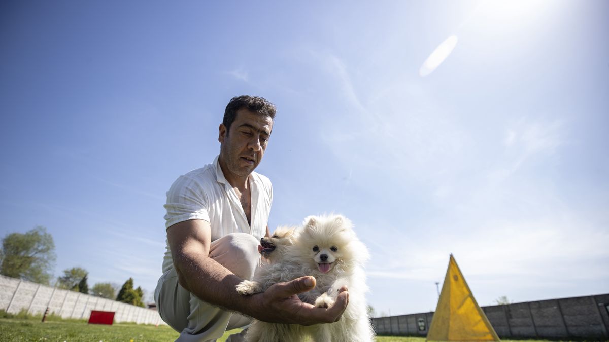 SAKARYA, TURKIYE - APRIL 04: Dogs are seen as they staying at the pet hotel ahead of the Eid al-Fitr holidays in Sakarya, Turkiye on April 04, 2024. The pet hotel offers comfortable accommodation to the animal friends left by their owners go back to their hometown during the long holidays to celebrate Eid al-Fitr. (Photo by Ibrahim Yozoglu/Anadolu via Getty Images)
