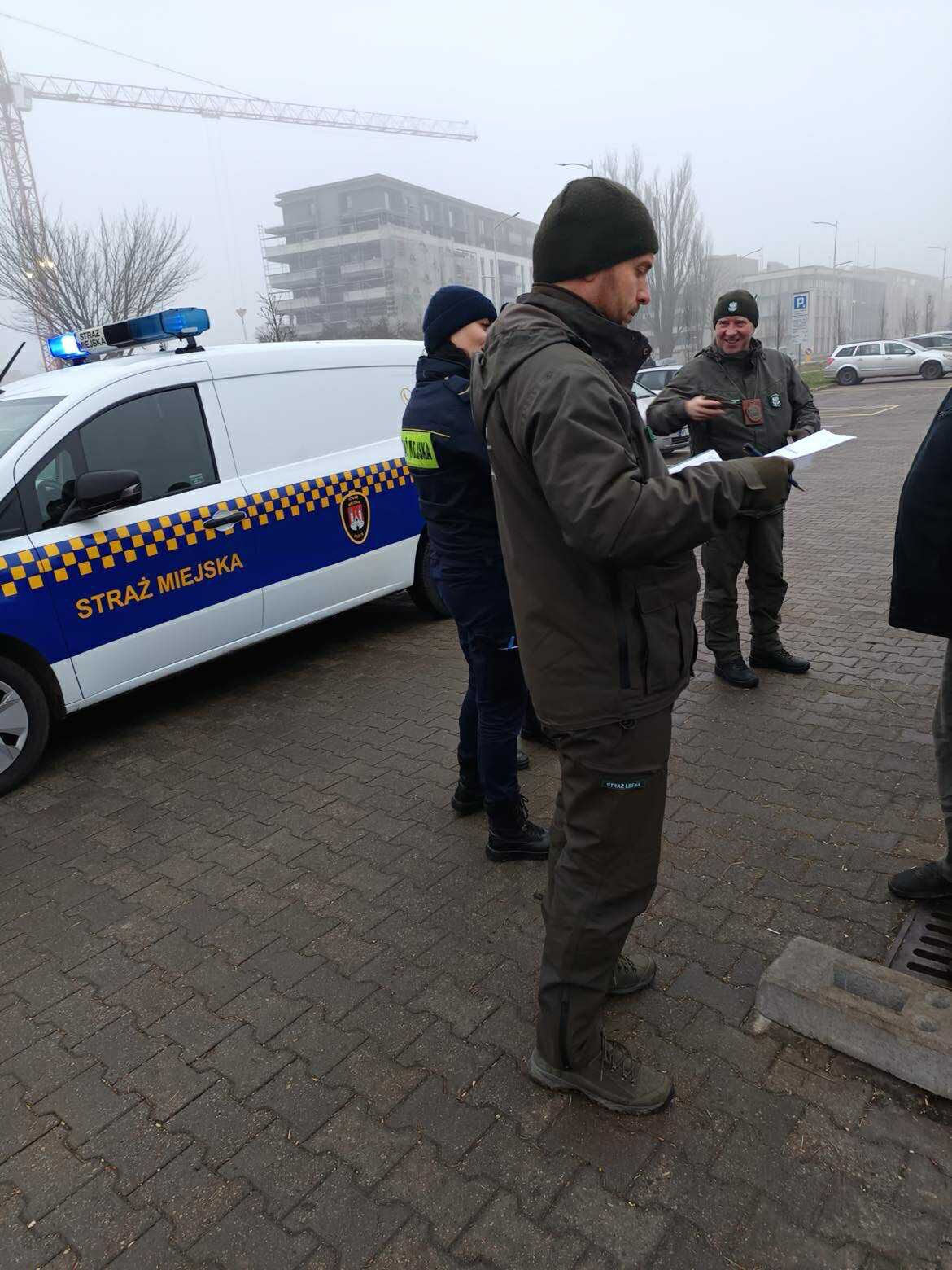 Ruszyła "Akcja Choinka". Strażnicy miejscy i leśnicy kontrolują sprzedaż drzewek w Płocku!