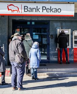 W dużych miastach mieszkają panikarze? "Są przyzwyczajeni do wygodnego życia"