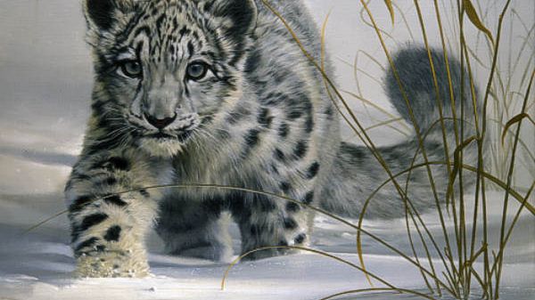 Użytkownikom Snow Leoparda brakuje odświeżonego interfejsu? 1
