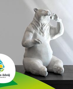 Dolnośląskie miasta śladami Wrocławia. Polanica-Zdrój będzie miała swoje niedźwiadki