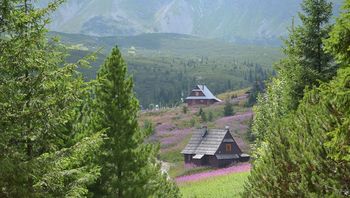 Pogoda w Zakopanem. Prognoza na niedzielę 15 marca. Możliwy słaby deszcz