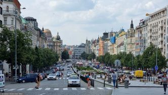 Czeskie "strefy wolne od dodatków" niezgodne z konstytucją