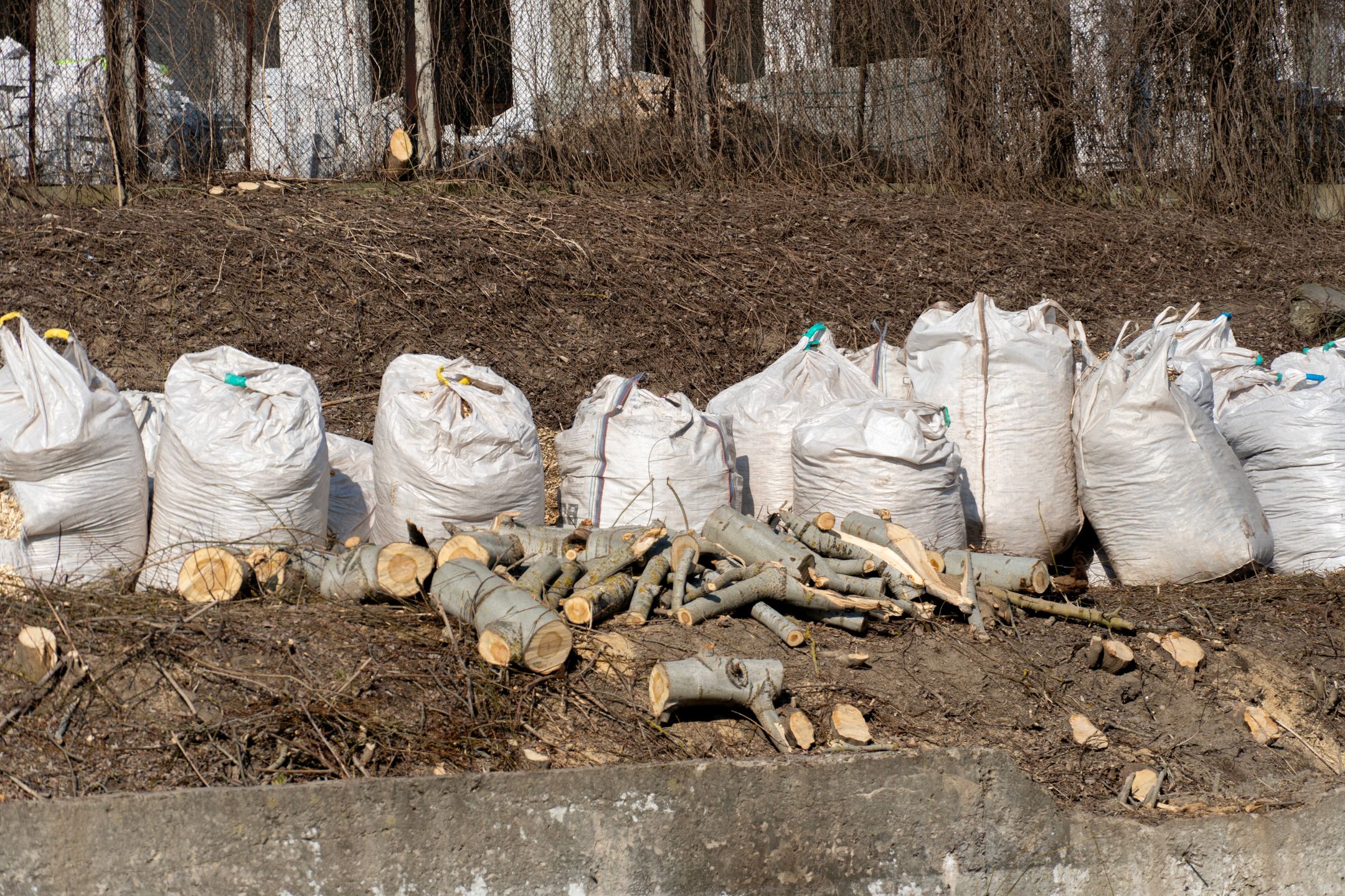 Stacks of white bags filled with cut wood and discarded tree branches are placed on a dry, barren area next to a wooded section during the day
Stacks of white bags filled with cut wood and discarded tree branches are placed on a dry, barren area next to a wooded section during the day
cut, wood, tree, branches, waste, disposal, garbage, bags, environmental, cleanup, wooded, area, daytime, nature, outdoors, landscaping, debris, rural, vegetation, management, effort, recycling, biomass, forestry, storage, clearing, ground, cover, trees, habitat, landscape, environment, soil, natural, resources, park, urban, initiative, sustainable, practices, conservation, maintenance, local, wildlife, greenery, cut, wood, tree, branches, waste, disposal, garbage, bags, environmental, cleanup, wooded, area, daytime, nature, outdoors, landscaping, debris, rural, vegetation, management, effort, recycling, biomass, forestry, storage, clearing, ground, cover, trees, habitat, landscape, environment, soil, natural, resources, park, urban, initiative, sustainable, practices, conservation, maintenance, local, wildlife, greenery