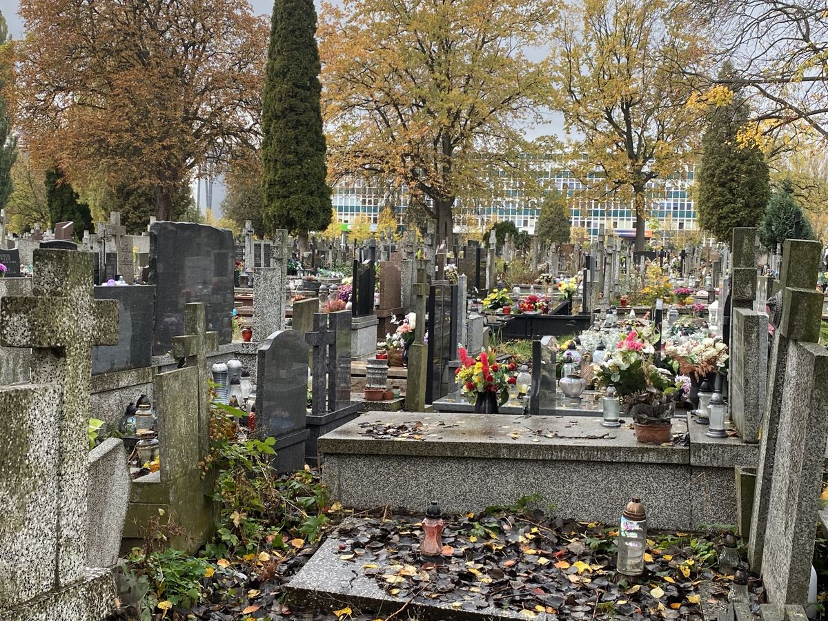 Na miejskich cmentarzach uroczyście, ale coraz skromniej. Zamiast wystawnych dekoracji i wielkich lampionów coraz częściej widać małe bukieciki z naturalnych kwiatów i zapomniane przez lata otwarte znicze w ceramicznych pojemnikach 