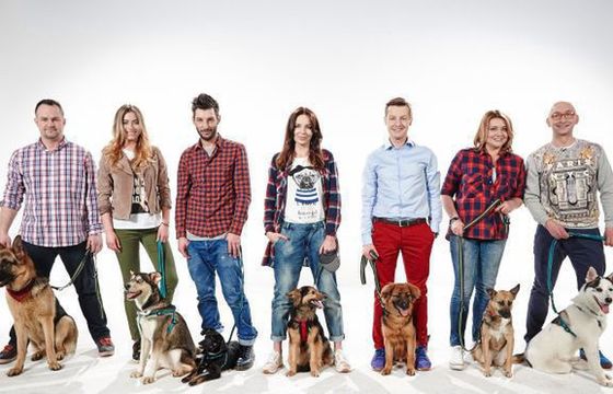 870 tys. widzów programu „Przygarnij mnie”. TVP2 wypada słabiej od konkurencji