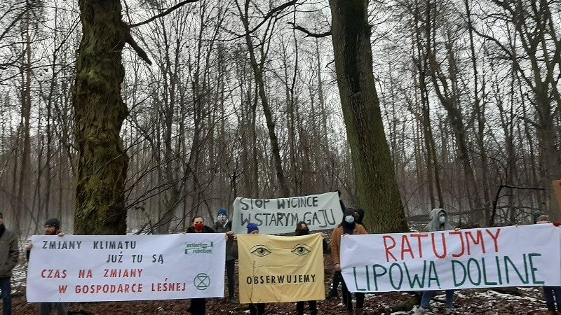 Aktywiści Extinction Rebellion Lublin (XR) domagają się zaprzestania wycinki drzew w Starym Gaju