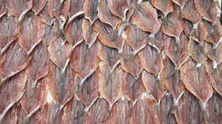 Jedz zamiast suplementów. Niedroga ryba, a Polacy wciąż nie doceniają