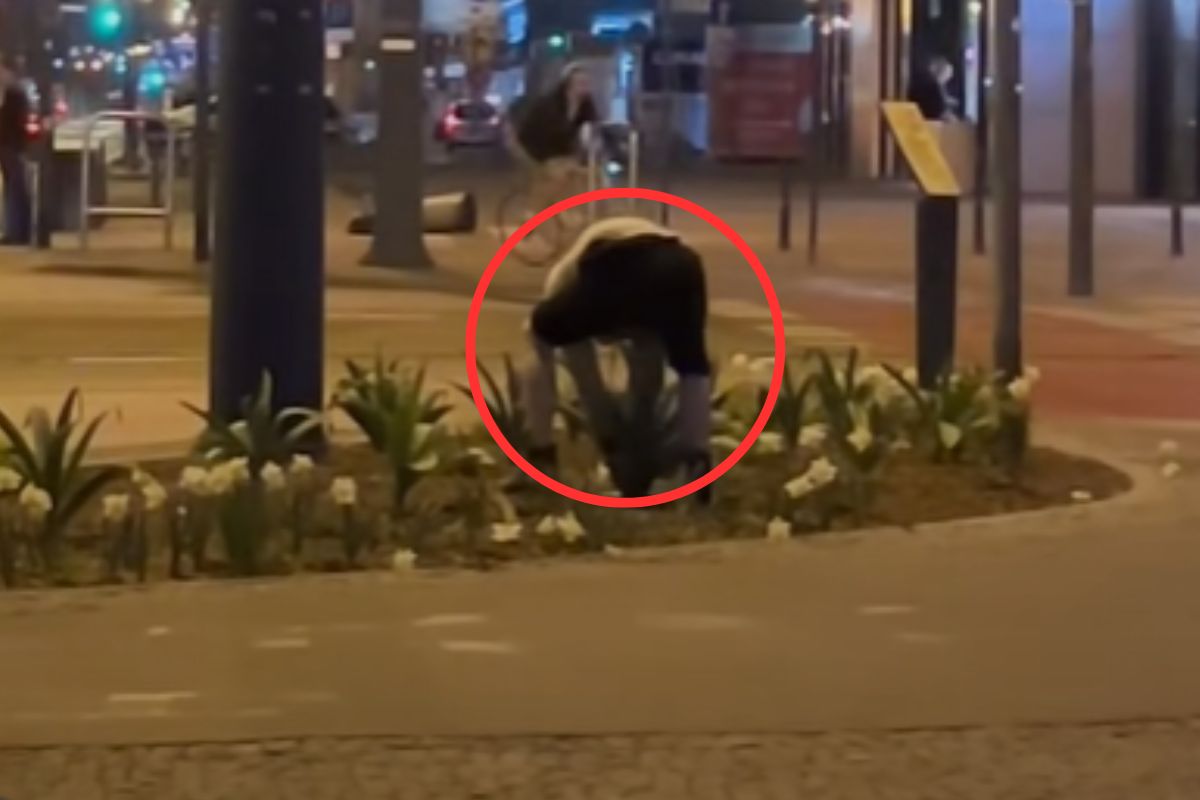 Noc, centrum Łodzi. Mężczyzna nagrany przy skrzyżowaniu