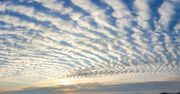 Widowiskowe chmury nad Polską. Altocumulus undulatus zwiastują zmiany