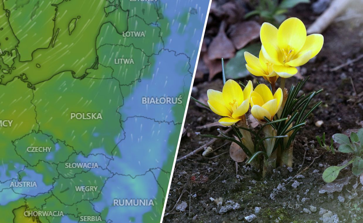 Diametralna zmiana pogody. Są najnowsze prognozy i niespodzianka
