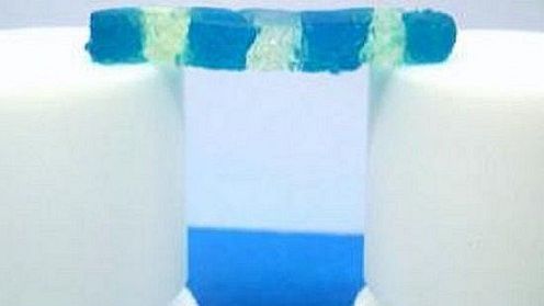 Błyskawicznie samonaprawiający się hydrożel przyszłością ortopedii i chirurgii? 1