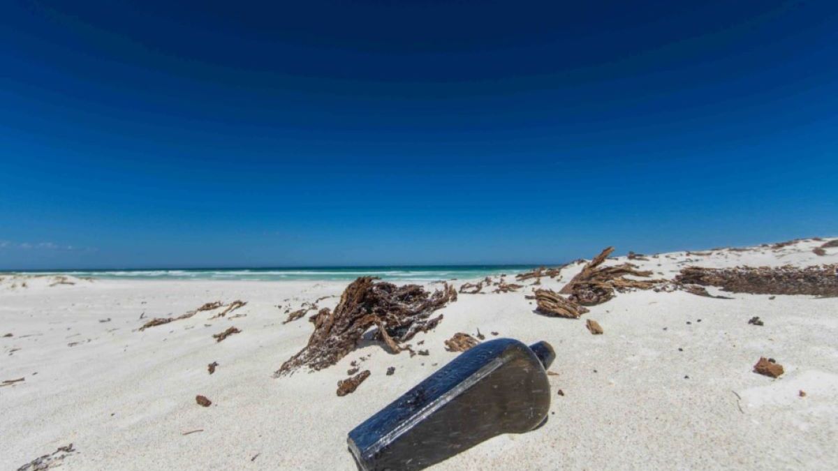 Na plaży w Australii dokonano niezwykłego odkrycia 