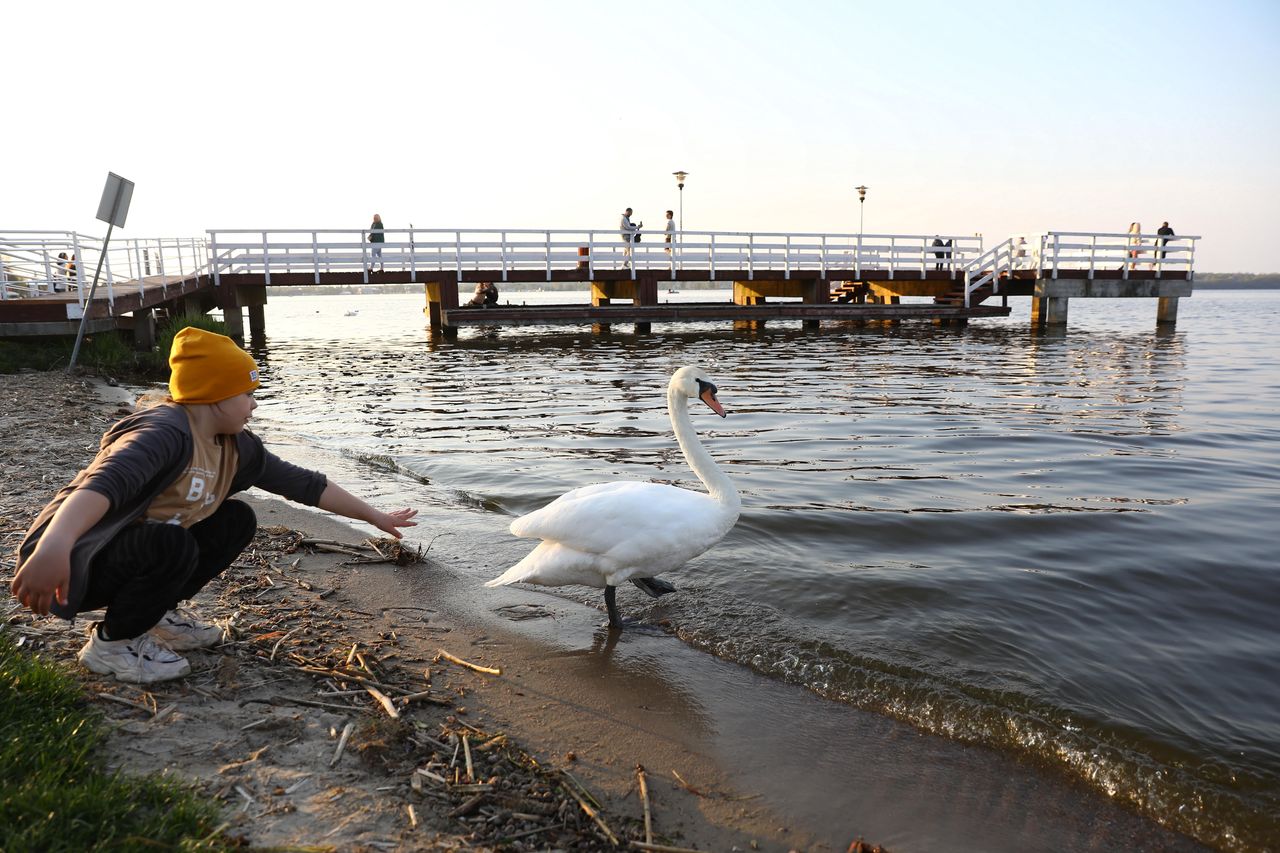 Pogoda. Słońce mocno przygrzeje. Poczujemy powiew lata