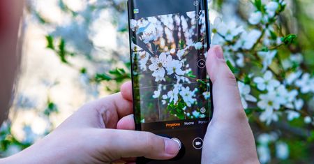 Jak wygrać w konkursie fotograficznym - 5 reguł