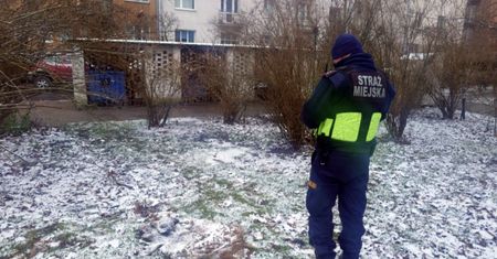 Makabryczne ślady na trawniku. Mieszkaniec Pragi był w szoku