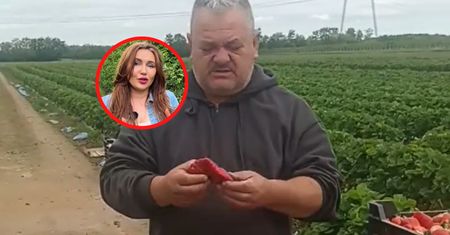 "Są też w Polsce". Dziwne truskawki budzą wątpliwości. Co mówi ekspert?