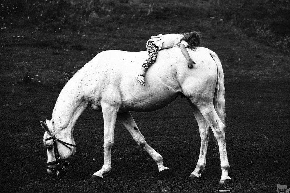 Nominowani do tytułu Najlepszego Fotografa Rosji w konkursie „Best of Russia 2016” 14