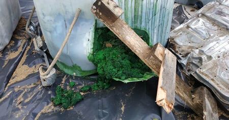 Nielegalne odpady porzucone na terenie gminy Niemce. Wysoka nagroda za wskazanie sprawcy