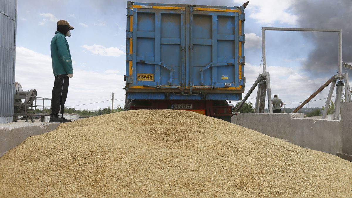 A truck unloads barley grain at a grain terminal, amid Russia's invasion of Ukraine, in Odesa region, Ukraine 22 June 2022. 7 million tonnes of wheat, 14 million tonnes of corn grain, 3 million tonnes of sunflower oil, and 3 million tonnes of sunflower meal have not entered the world market due to Russias blockade of Ukrainian seaports, that has led to a record rise in world market prices and will inevitably result in a global food crisis and rising inflation, as media informed. (Photo by STR/NurPhoto via Getty Images)