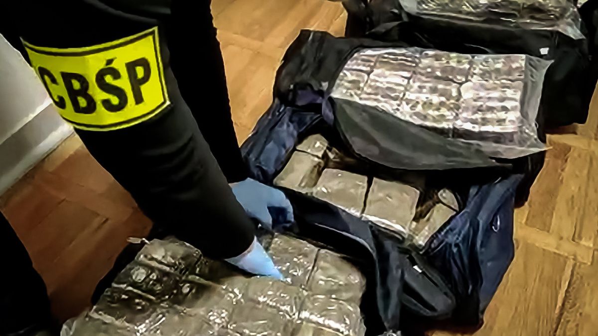 CBŚP przejęło 150 kg haszyszu