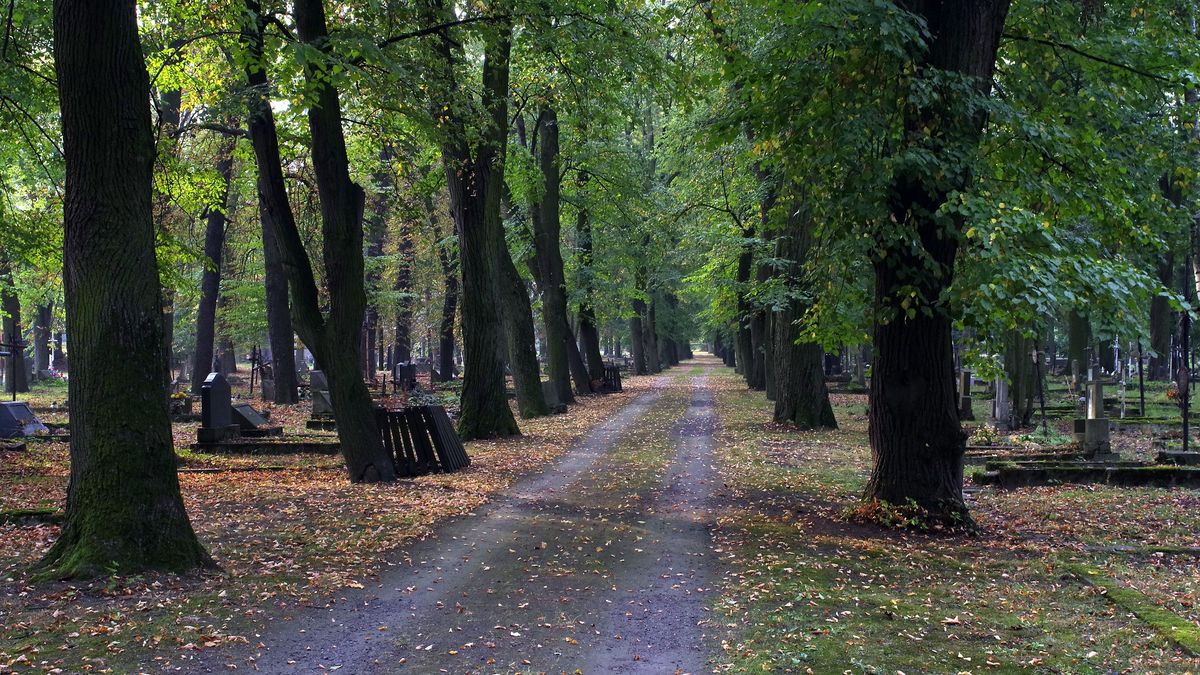 Jaka pogoda na Wszystkich Świętych? Zadziwiające prognozy