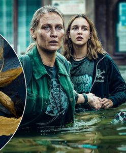 Top Seriale 2023. Plebiscyt i gala serwisu WP Teleshow. Te produkcje okazały się hitami. Kto wygrał?