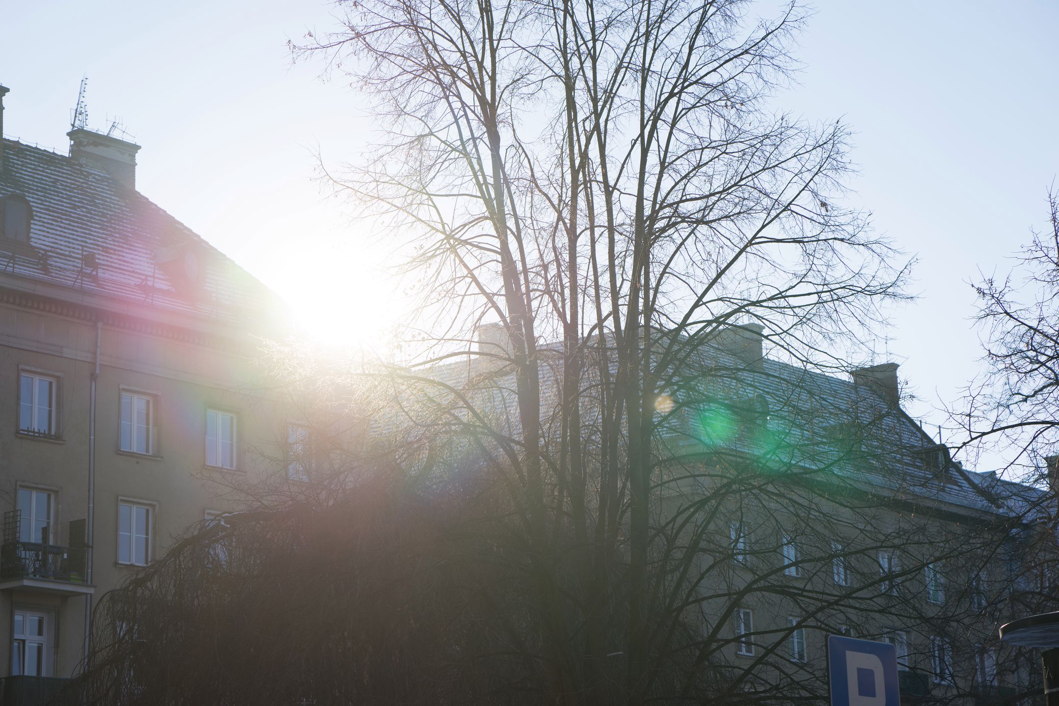 Zeiss Batis 85 mm f/1.8 - test portretówki do Sony A7 84