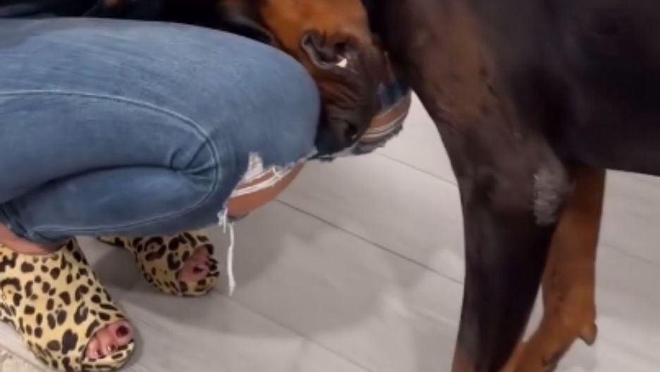 Pies zachowuje się w ten sposób? To nie przypadek