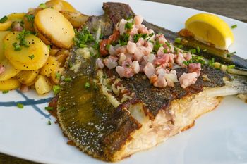 Ta ryba to prawdziwy polski rarytas. Prawie nie ma ości i jest zdrowsza nawet od dorsza, a do tego tańsza