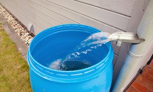 Tego nie wolno robić z deszczówką. Wysoka grzywna lub nawet areszt