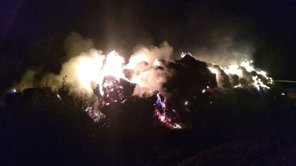 Policjanci z Prudnika (woj. opolskie) zatrzymali 16 i 20-latka podejrzanych o wywołanie serii pożarów na terenie powiatu prudnickiego. 