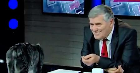 Nietypowy gość w programie na żywo. Kot skradł całe show